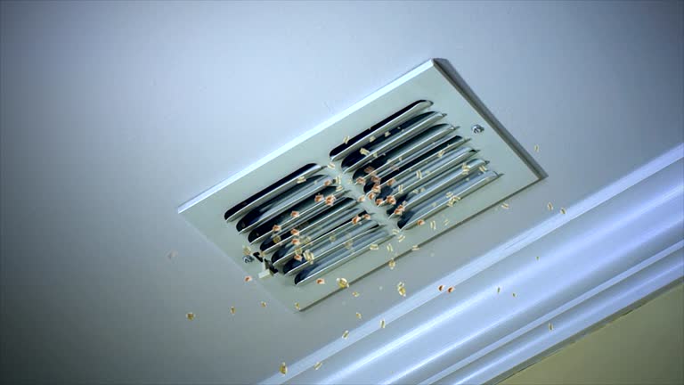 Best Best Air Duct Cleaning Company  in Blaine, TN